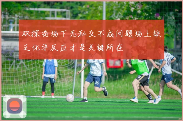双探花场下无私交不成问题场上缺乏化学反应才是关键所在