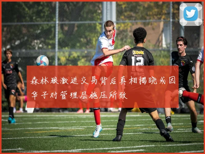 森林狼激进交易背后真相揭晓或因华子对管理层施压所致